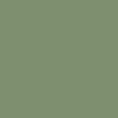 BS381-283 Aircraft Grey Green Aerosol Paint